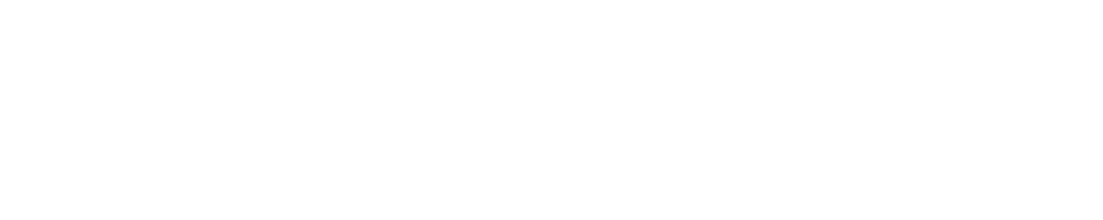 VingzRoma
